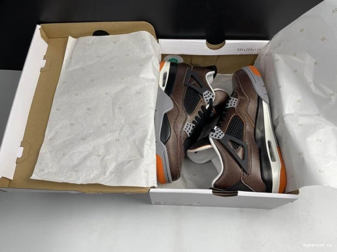 Air Retro 4 (W) Starfish CW7183-100 Jordan 1007